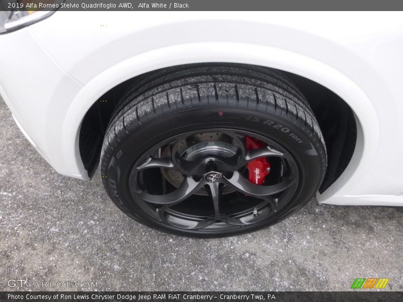  2019 Stelvio Quadrifoglio AWD Wheel