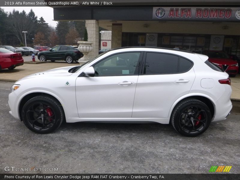  2019 Stelvio Quadrifoglio AWD Alfa White