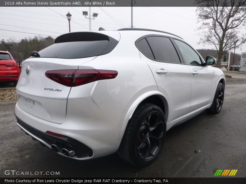 Alfa White / Black 2019 Alfa Romeo Stelvio Quadrifoglio AWD