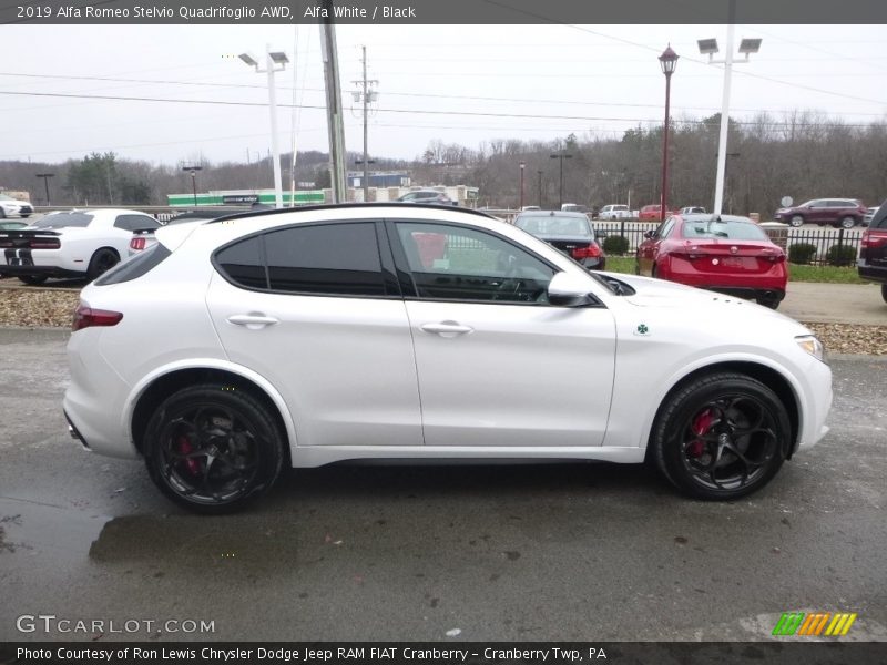  2019 Stelvio Quadrifoglio AWD Alfa White