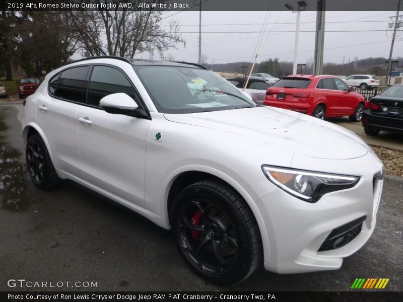  2019 Stelvio Quadrifoglio AWD Alfa White