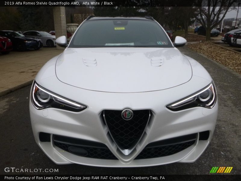 Alfa White / Black 2019 Alfa Romeo Stelvio Quadrifoglio AWD