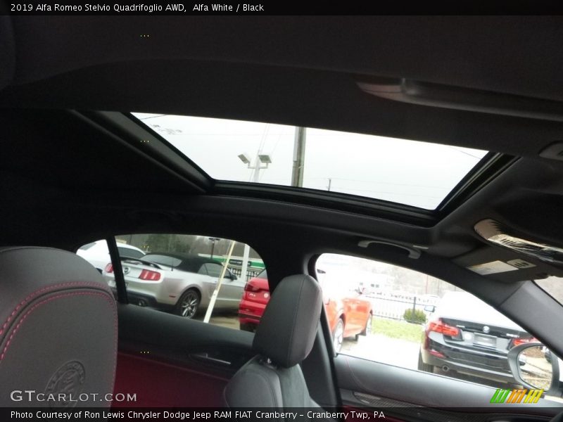 Alfa White / Black 2019 Alfa Romeo Stelvio Quadrifoglio AWD
