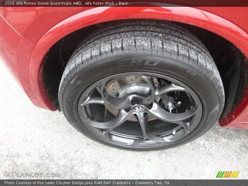  2019 Stelvio Quadrifoglio AWD Wheel