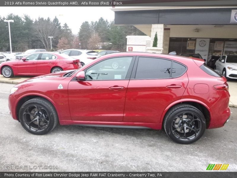  2019 Stelvio Quadrifoglio AWD Alfa Rosso (Red)