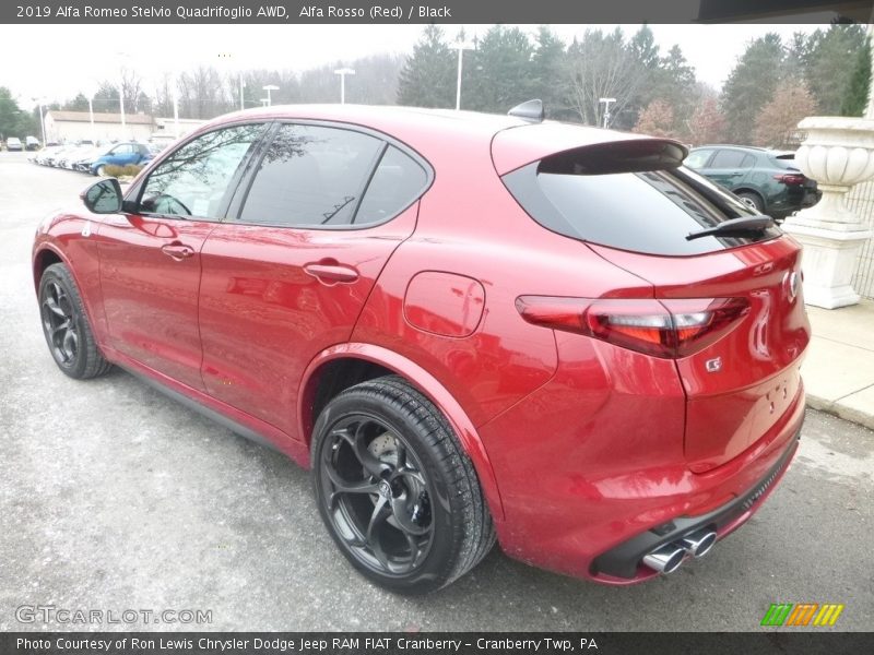 Alfa Rosso (Red) / Black 2019 Alfa Romeo Stelvio Quadrifoglio AWD
