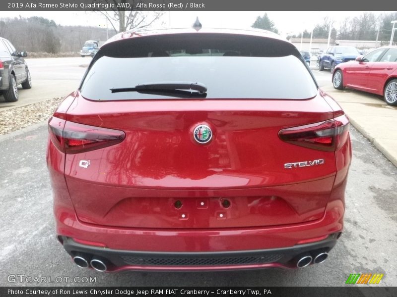 Alfa Rosso (Red) / Black 2019 Alfa Romeo Stelvio Quadrifoglio AWD