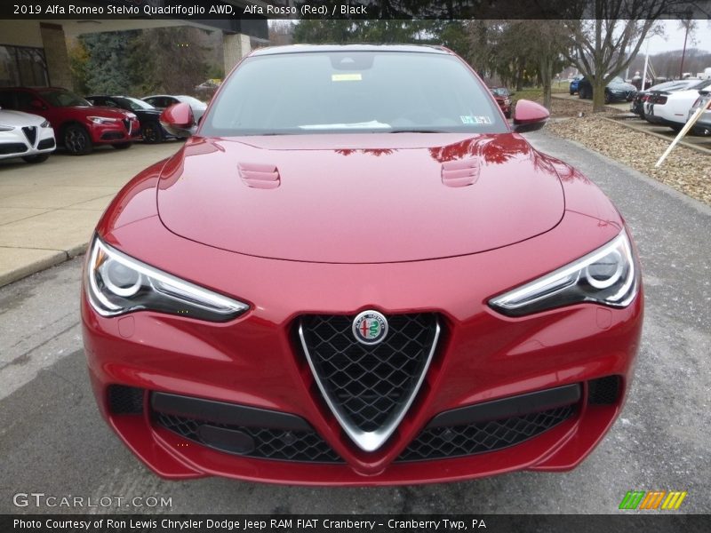 Alfa Rosso (Red) / Black 2019 Alfa Romeo Stelvio Quadrifoglio AWD