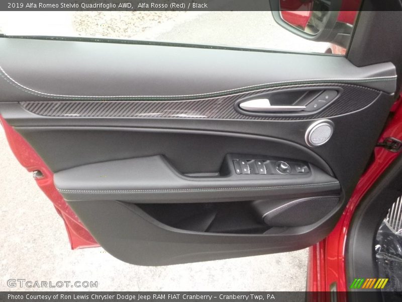 Door Panel of 2019 Stelvio Quadrifoglio AWD