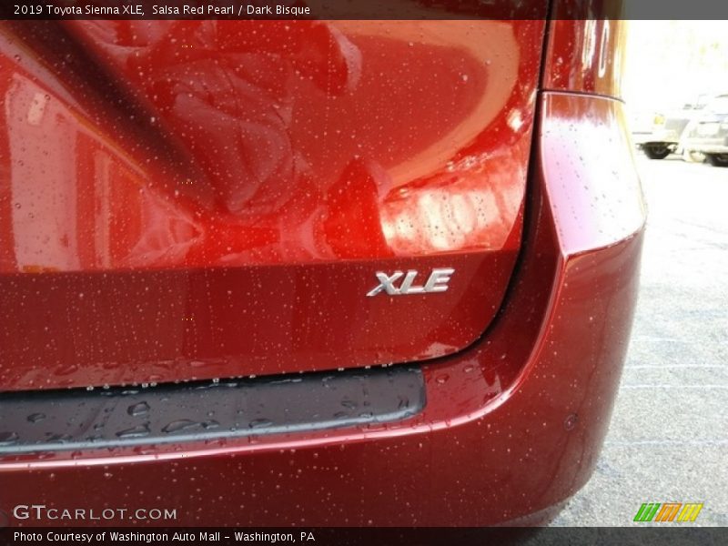 Salsa Red Pearl / Dark Bisque 2019 Toyota Sienna XLE