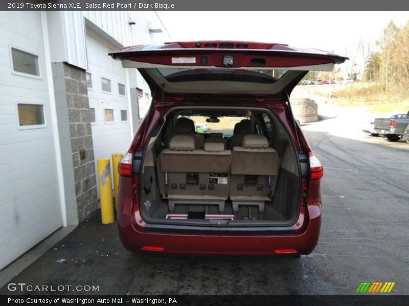 Salsa Red Pearl / Dark Bisque 2019 Toyota Sienna XLE