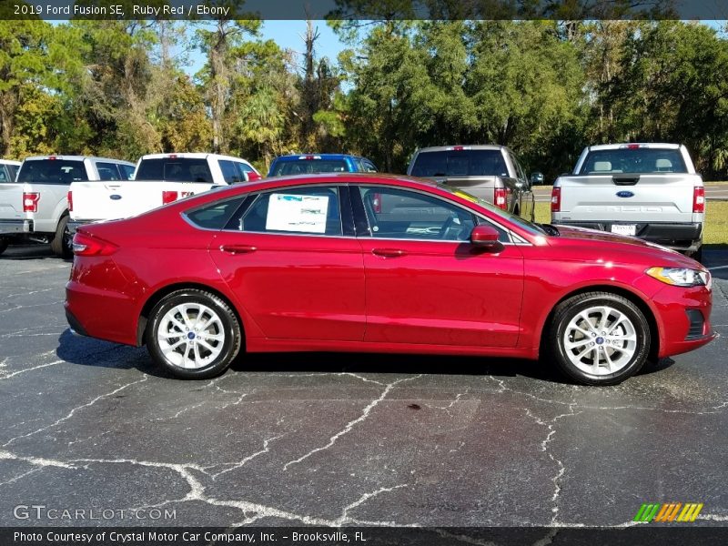 Ruby Red / Ebony 2019 Ford Fusion SE
