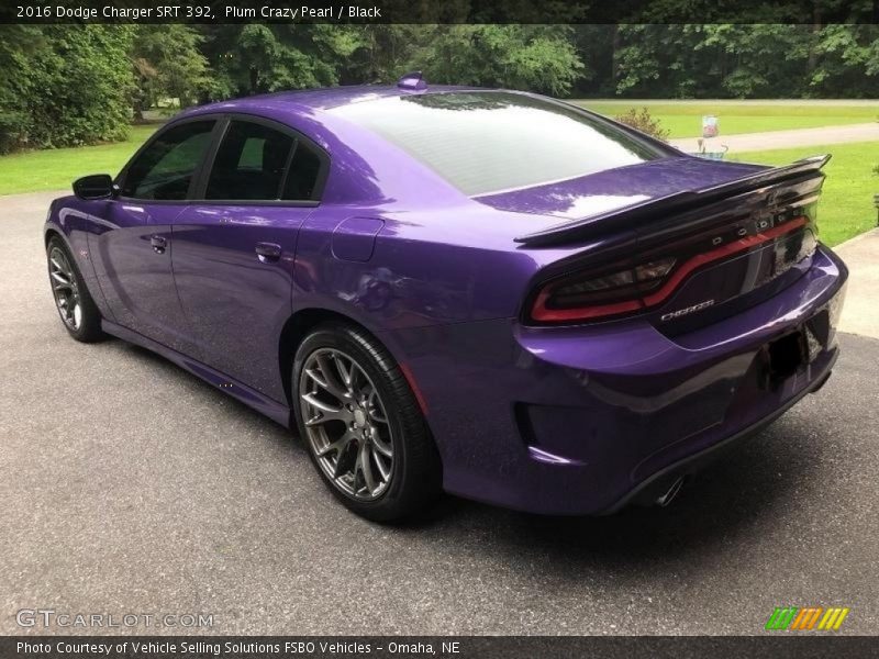 Plum Crazy Pearl / Black 2016 Dodge Charger SRT 392