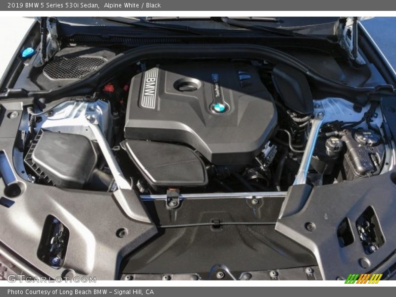 Alpine White / Black 2019 BMW 5 Series 530i Sedan