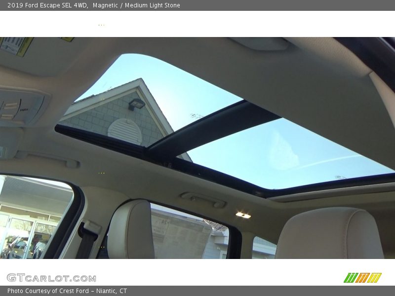 Magnetic / Medium Light Stone 2019 Ford Escape SEL 4WD