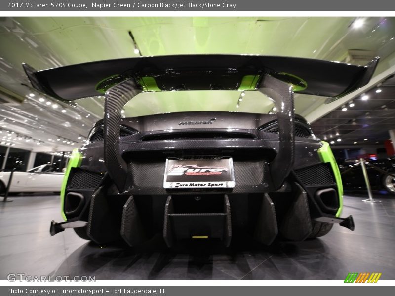 Napier Green / Carbon Black/Jet Black/Stone Gray 2017 McLaren 570S Coupe