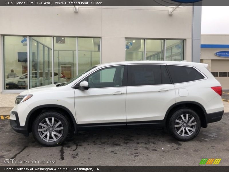 White Diamond Pearl / Black 2019 Honda Pilot EX-L AWD