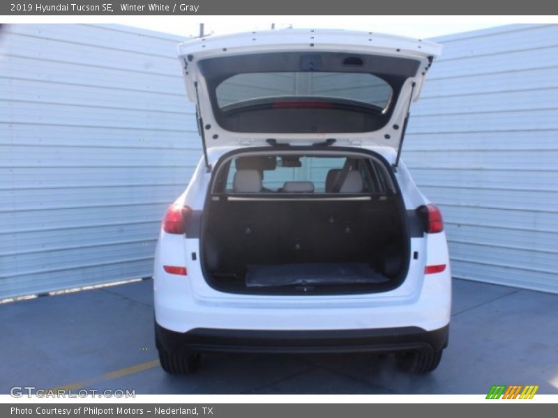 Winter White / Gray 2019 Hyundai Tucson SE