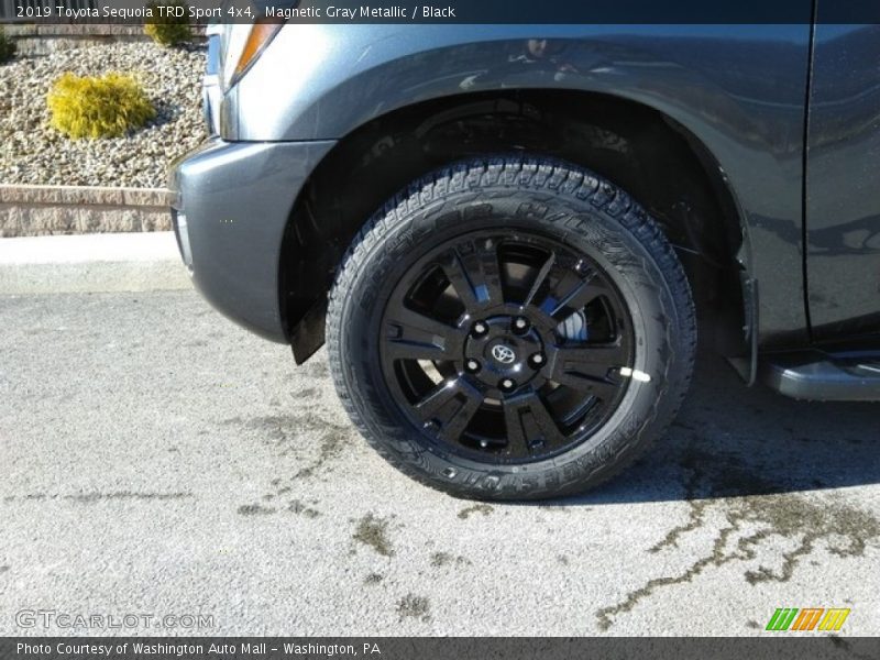 Magnetic Gray Metallic / Black 2019 Toyota Sequoia TRD Sport 4x4