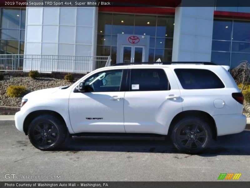 Super White / Black 2019 Toyota Sequoia TRD Sport 4x4
