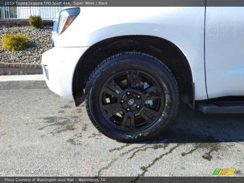 Super White / Black 2019 Toyota Sequoia TRD Sport 4x4