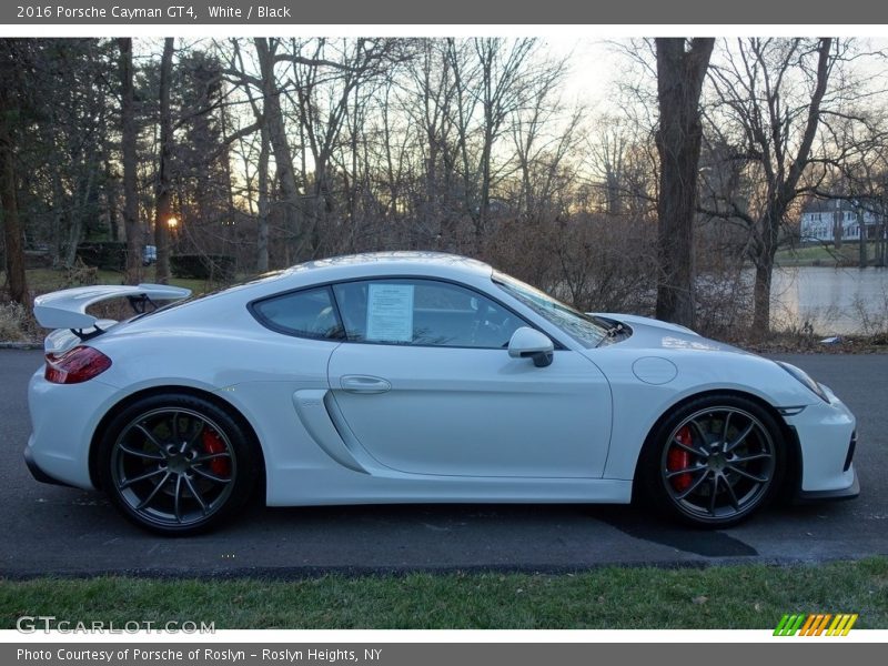 White / Black 2016 Porsche Cayman GT4