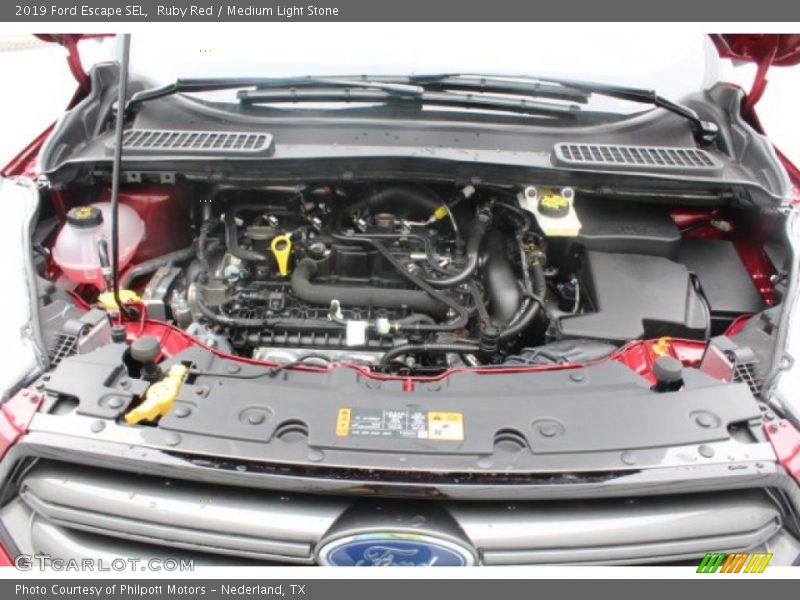 Ruby Red / Medium Light Stone 2019 Ford Escape SEL