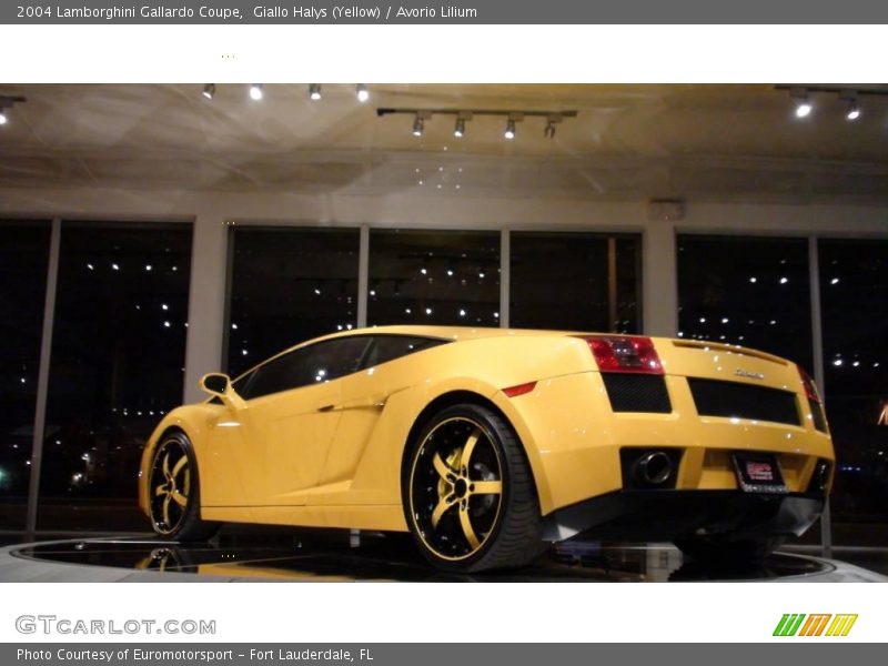 Giallo Halys (Yellow) / Avorio Lilium 2004 Lamborghini Gallardo Coupe