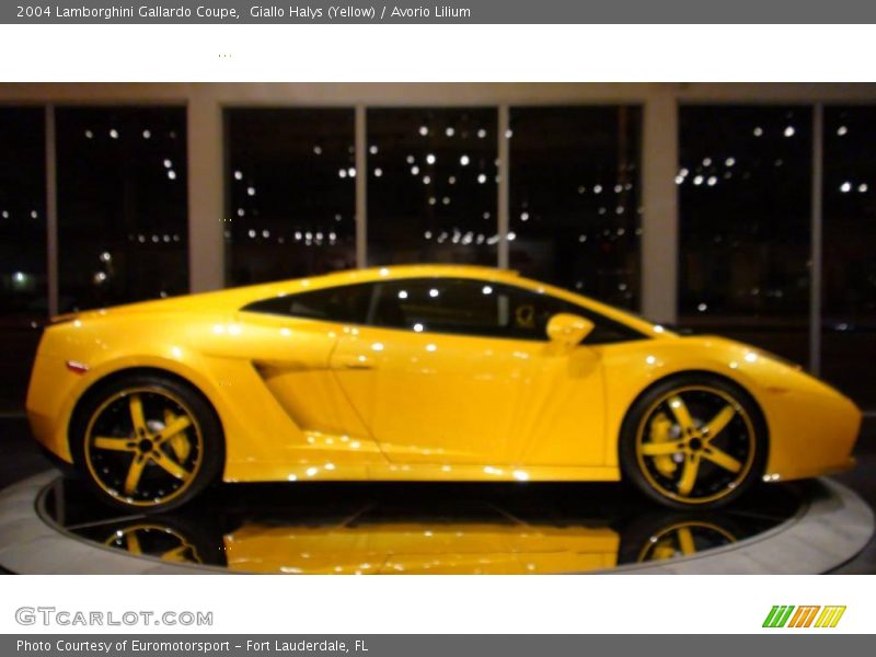 Giallo Halys (Yellow) / Avorio Lilium 2004 Lamborghini Gallardo Coupe