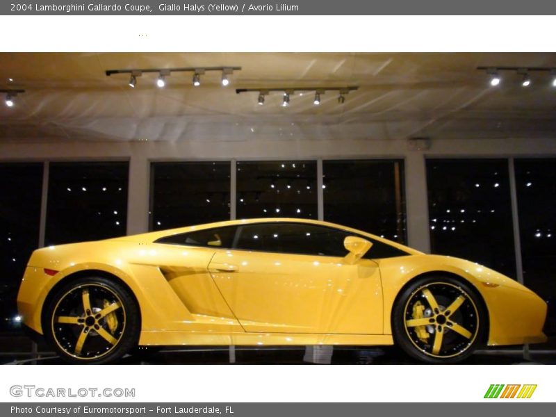 Giallo Halys (Yellow) / Avorio Lilium 2004 Lamborghini Gallardo Coupe