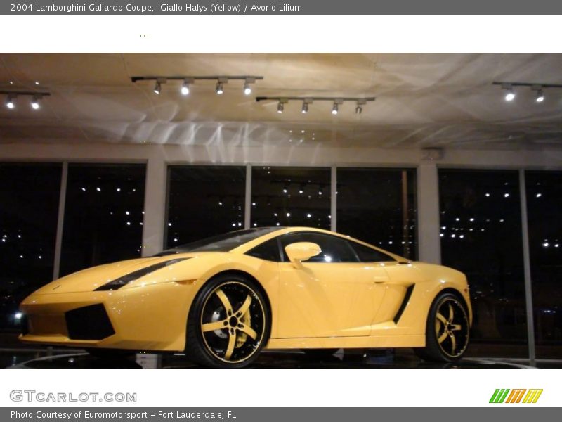 Giallo Halys (Yellow) / Avorio Lilium 2004 Lamborghini Gallardo Coupe