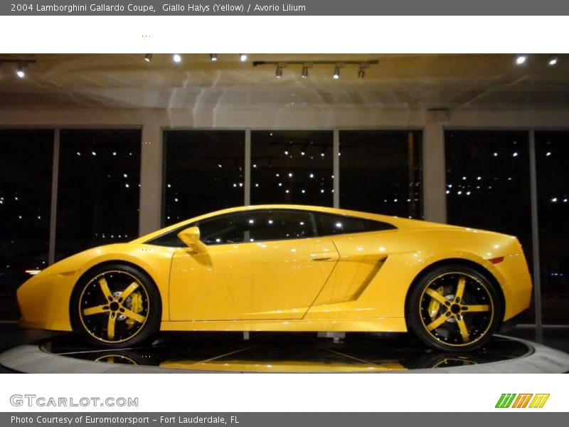 Giallo Halys (Yellow) / Avorio Lilium 2004 Lamborghini Gallardo Coupe