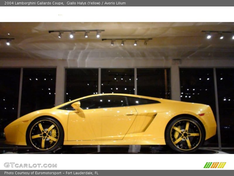 Giallo Halys (Yellow) / Avorio Lilium 2004 Lamborghini Gallardo Coupe