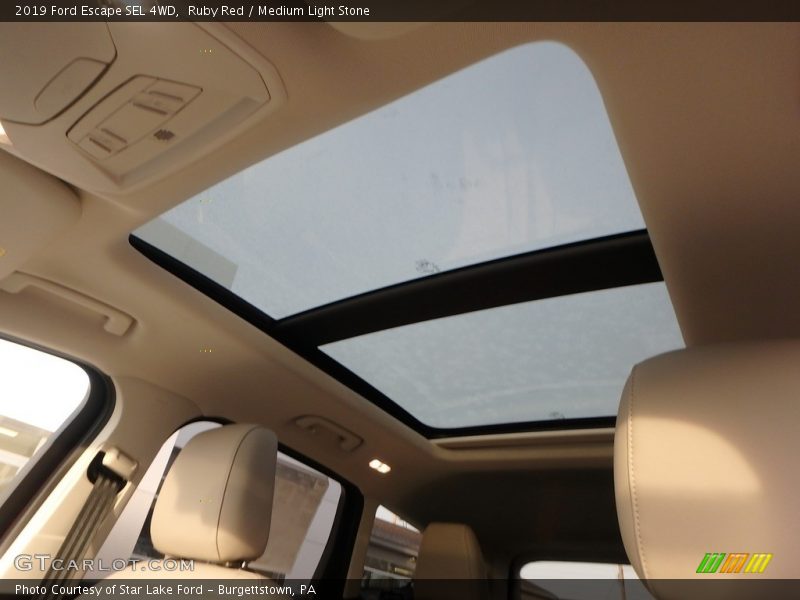 Ruby Red / Medium Light Stone 2019 Ford Escape SEL 4WD