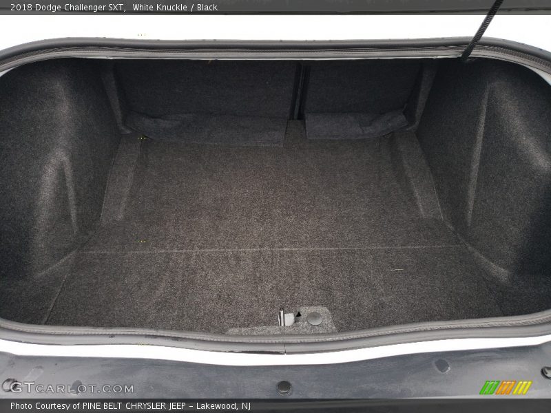 White Knuckle / Black 2018 Dodge Challenger SXT