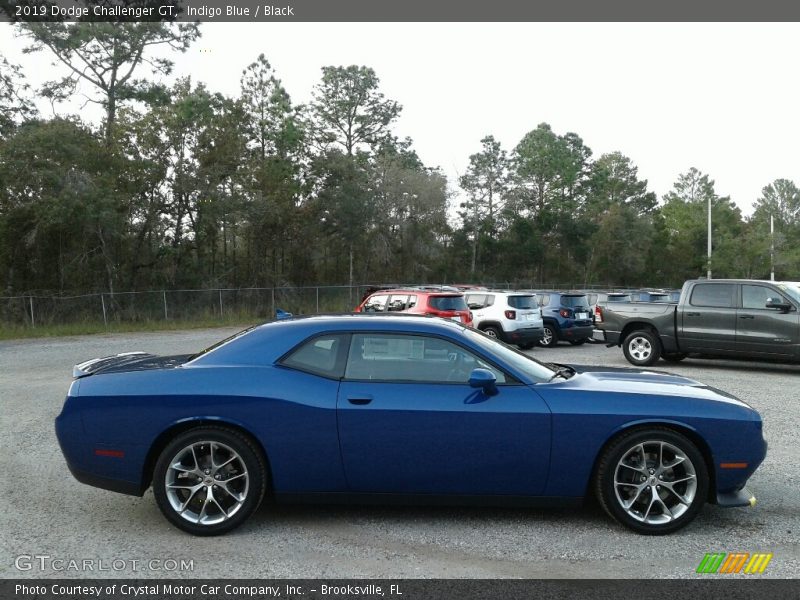 Indigo Blue / Black 2019 Dodge Challenger GT