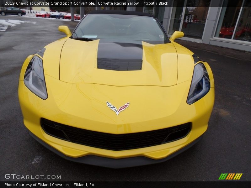 Corvette Racing Yellow Tintcoat / Black 2019 Chevrolet Corvette Grand Sport Convertible