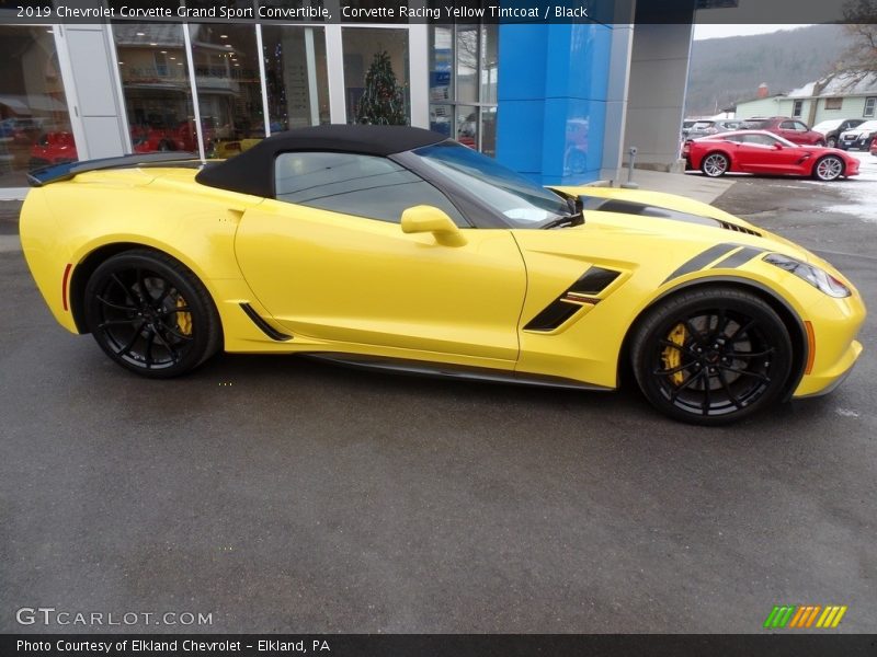 Corvette Racing Yellow Tintcoat / Black 2019 Chevrolet Corvette Grand Sport Convertible