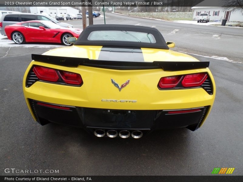 Corvette Racing Yellow Tintcoat / Black 2019 Chevrolet Corvette Grand Sport Convertible