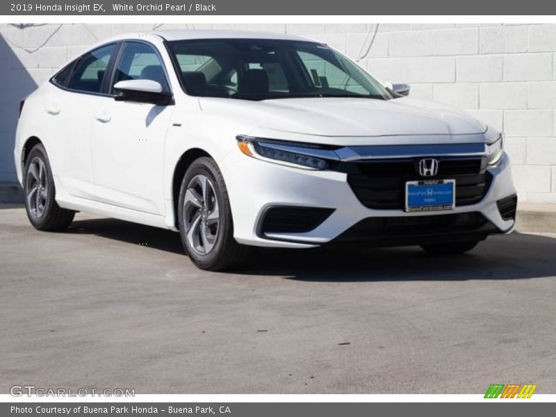 White Orchid Pearl / Black 2019 Honda Insight EX