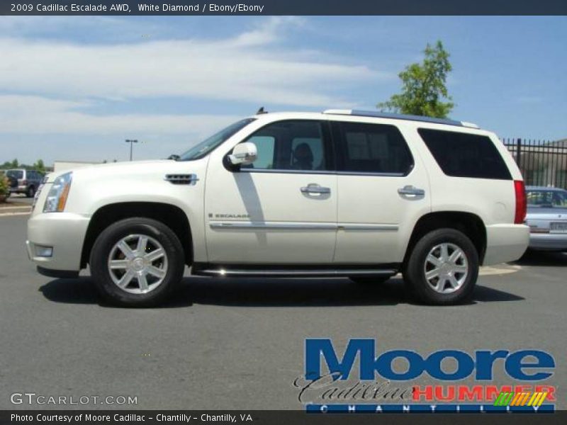 White Diamond / Ebony/Ebony 2009 Cadillac Escalade AWD