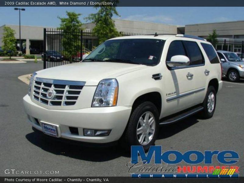 White Diamond / Ebony/Ebony 2009 Cadillac Escalade AWD