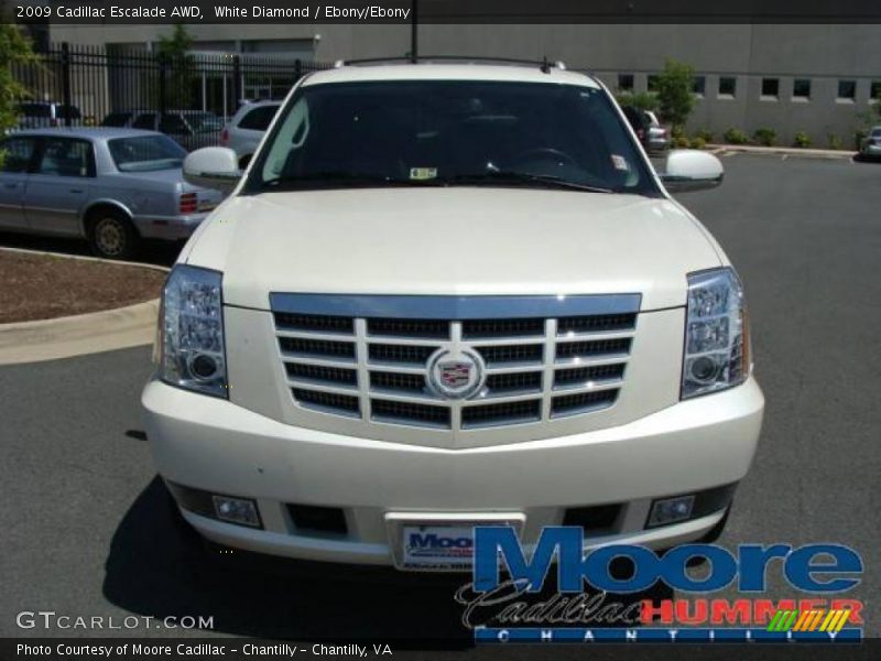 White Diamond / Ebony/Ebony 2009 Cadillac Escalade AWD