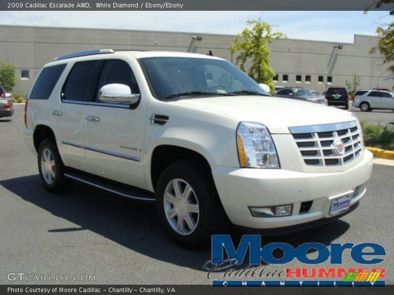 White Diamond / Ebony/Ebony 2009 Cadillac Escalade AWD
