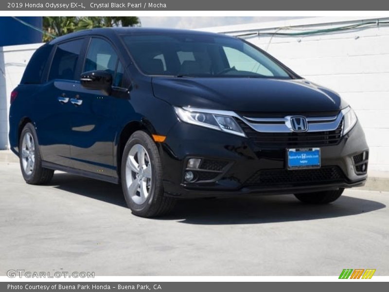 Crystal Black Pearl / Mocha 2019 Honda Odyssey EX-L