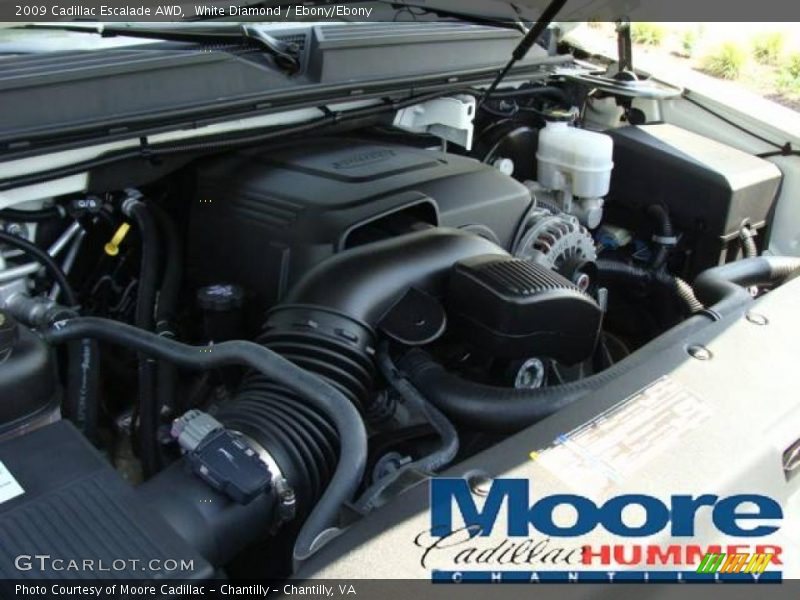 White Diamond / Ebony/Ebony 2009 Cadillac Escalade AWD