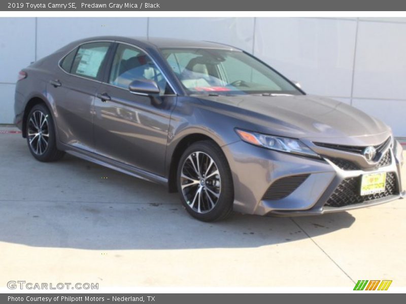 Predawn Gray Mica / Black 2019 Toyota Camry SE