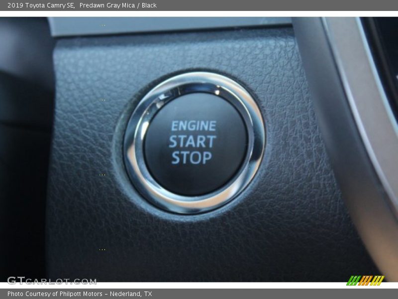 Predawn Gray Mica / Black 2019 Toyota Camry SE
