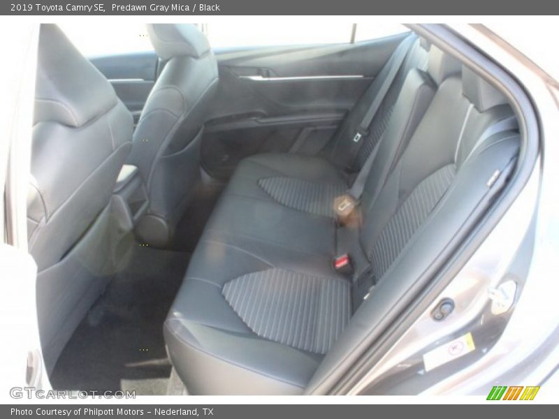 Predawn Gray Mica / Black 2019 Toyota Camry SE