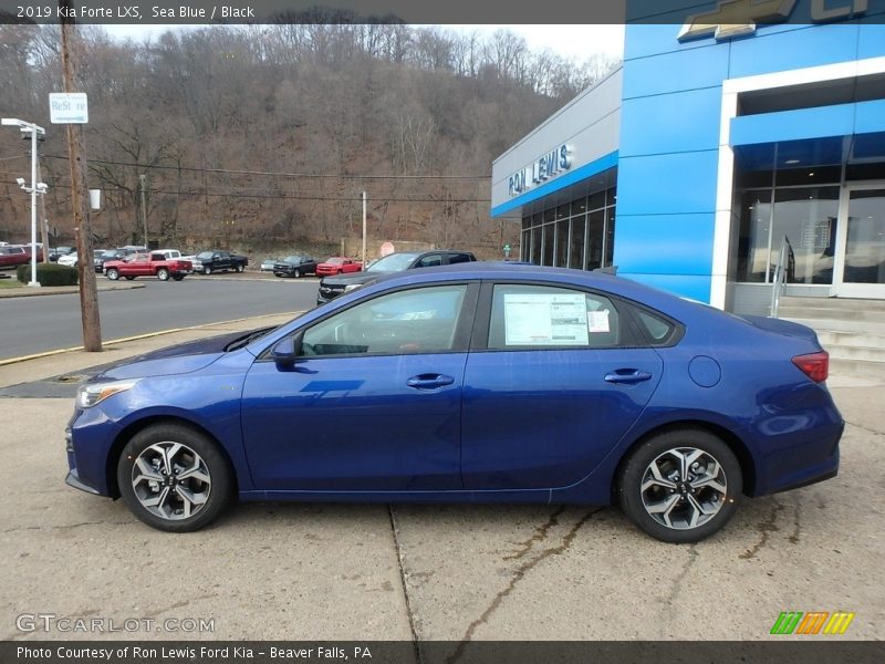 Sea Blue / Black 2019 Kia Forte LXS